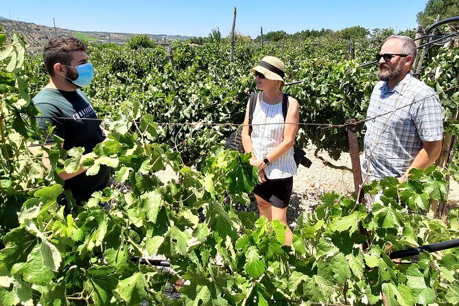 Heraklion wine tour & Cretan meze lunch - Final Thoughts