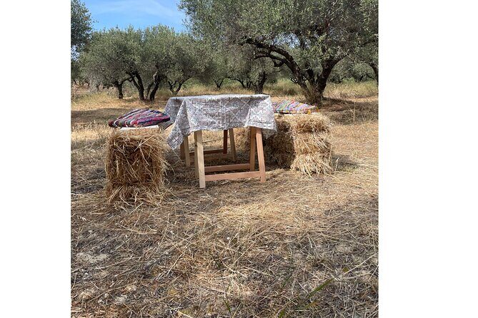 Heraklion:Olive & Dragon Fruit Farm Tour & Cretan Farmers Brunch - Who Should Consider This Tour?