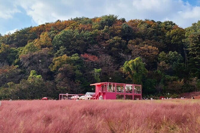 Herb Island and Sanjung Lake and Bidulginang Water Falls - What Makes This Tour Valuable?