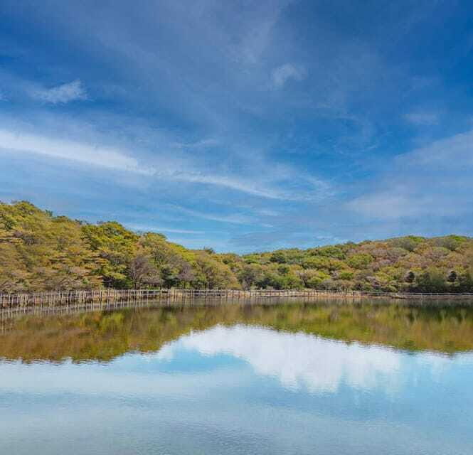Herb Island : Sanjung Lake : Strawberry : Bidulginang Tour - Why This Tour Offers Great Value