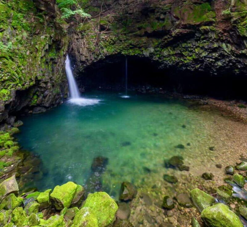 Herb Island : Sanjung Lake : Strawberry : Bidulginang Tour - Who Will Love This Tour?