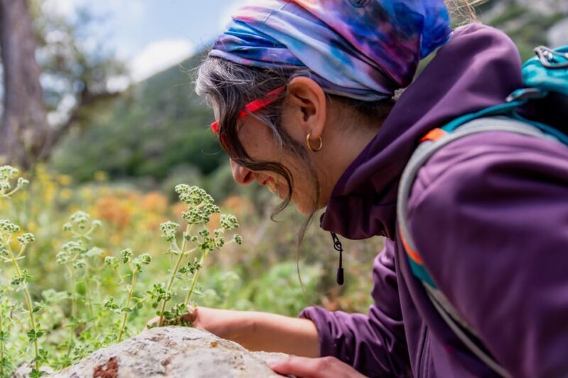 Herbalism and Wildlife (Small group experience) - Authenticity and Value