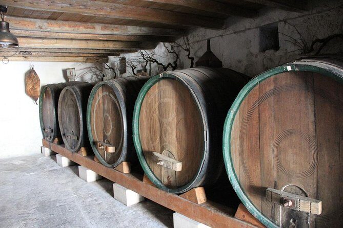 Hercegovina wine tasting tour from Dubrovnik - Key Points