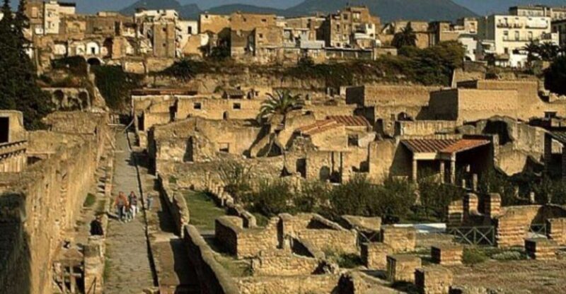 Herculaneum: 2hour Shared Guided Tour + entry tickets - Experience the Hidden Charm of Herculaneum: 2-Hour Shared Guided Tour + Entry Tickets