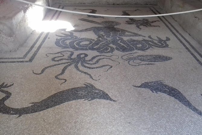 Herculaneum and the Amalfi Coast(Sorrento-Positano) - Transportation and Logistics