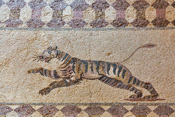 Herculaneum and the Archeological Museum of Naples Private Tour from Rome - The Practicalities and Logistics of the Tour