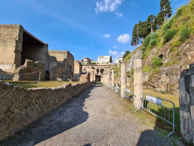 Herculaneum Archaeological Park smart Audio Tour - Who Will Love It