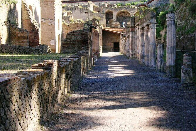 Herculaneum Archaeological Private Tour - A Detailed Look at the Herculaneum Private Tour