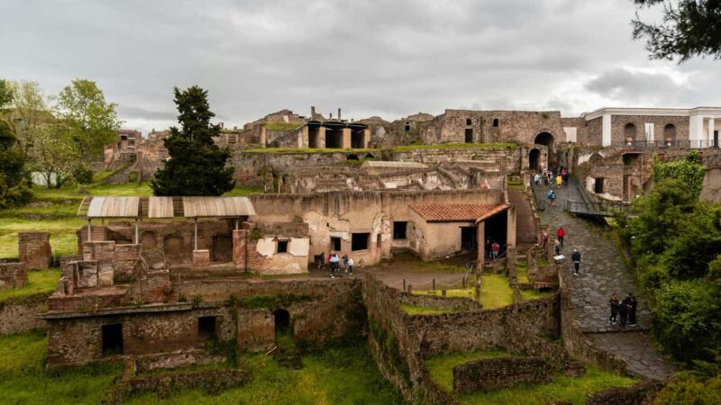 HERCULANEUM: ENTRANCE TICKET - SKIP THE LINE AND SUPPORT SERVICE - Key Points