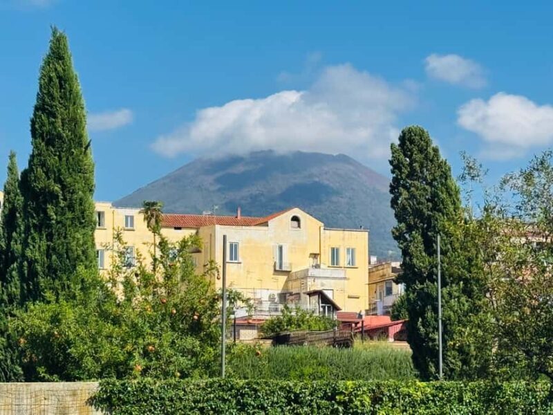 Herculaneum: experience with an archaeologist in a small group of up to 10 people - The Experience in Detail