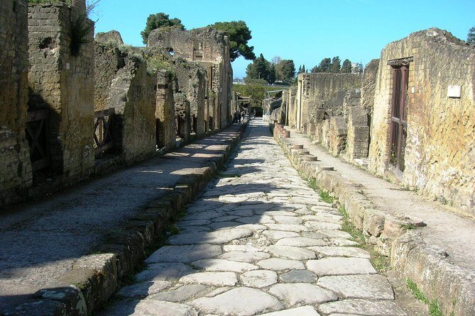 Herculaneum Guided Group Tour from Naples - Key Points