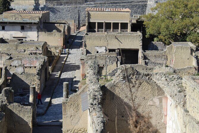 Herculaneum Private Guided Tour Led by a Local Top-rated Guide - All inclusive - Who Should Consider This Tour?