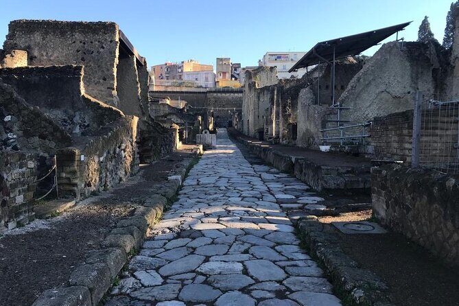 Herculaneum - Private Tour (skip-the-line admission included) - Who Should Book This Tour?