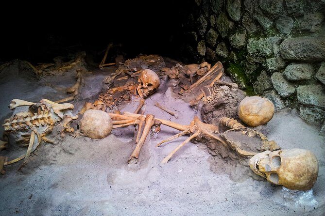 Herculaneum Private Tour with wine and lunch option on Vesuvius - Key Points