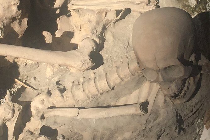 Herculaneum Private Walking Guided Tour 2 hours - Discovering Herculaneum: What to Expect from the Tour