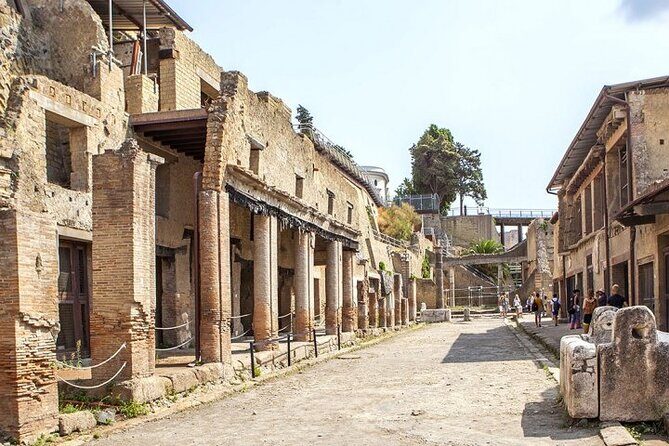 Herculaneum ruins and Naples Center Full Day Private Tour From Rome - A Deep Dive into the Experience