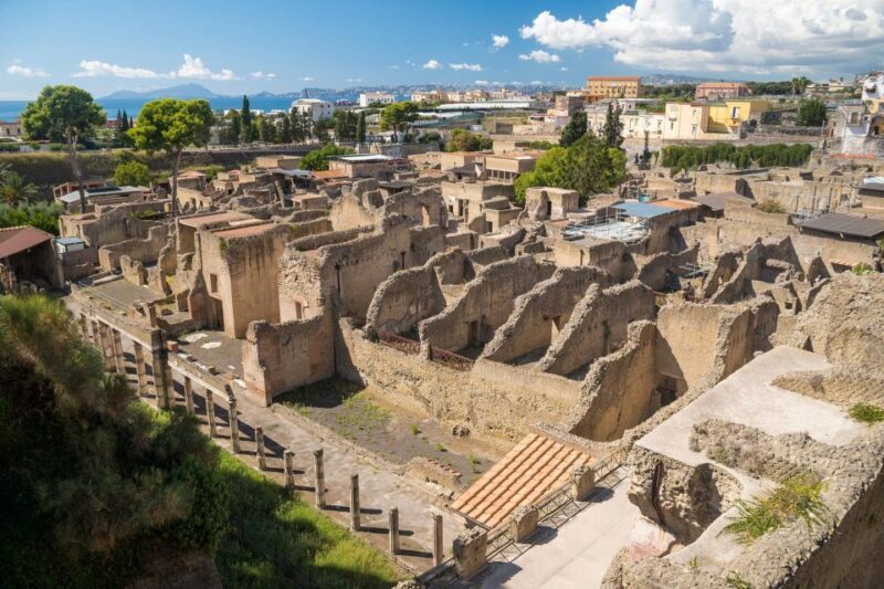 Herculaneum: Skip-the-Line Entry Ticket with Audio Guide - Who Should Consider This Tour?