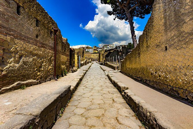 Herculaneum small group tour with an archaeologist - skip the line - Final Thoughts: Who Will Find This Tour Most Valuable?