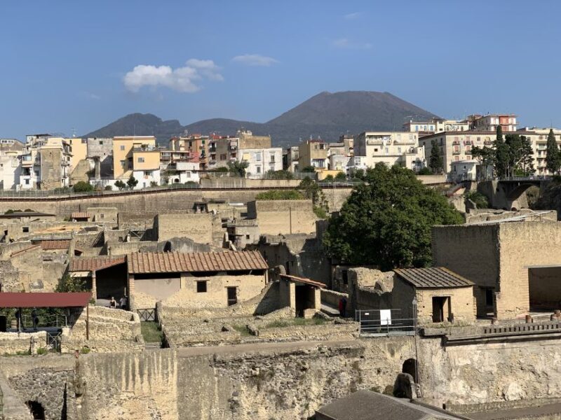 Herculaneum: Tickets & Tour with a Local Archaeologist - Who Will Love This Tour?