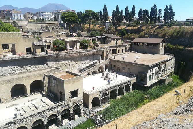 Herculaneum VIP Tour with Lunch from Naples - Who Will Enjoy This Tour Most?