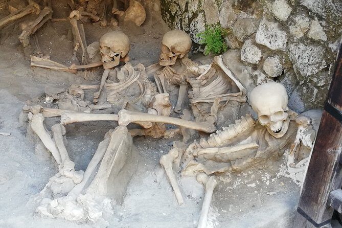 Herculaneum walking tour - Final Thoughts: Who Will Love This Tour?