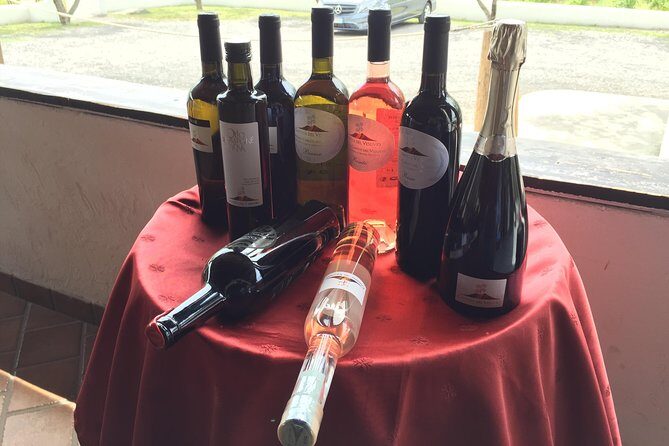 Herculaneum-Wine tour from Sorrento, with licensed guide included - Exploring the Archaeological Site of Herculaneum