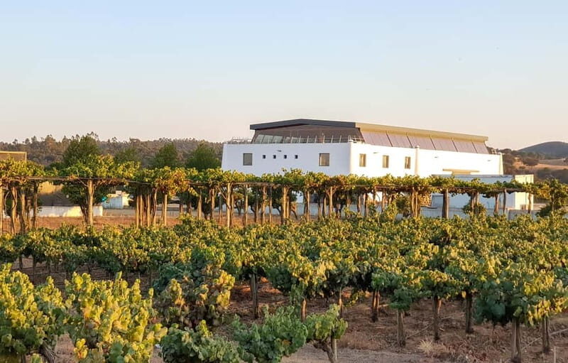 Herdade Canal Caveira - Visit Winery & Picnic - Experience the Charm of Herdade Canal Caveira — A Winery & Picnic Tour Near Lisbon