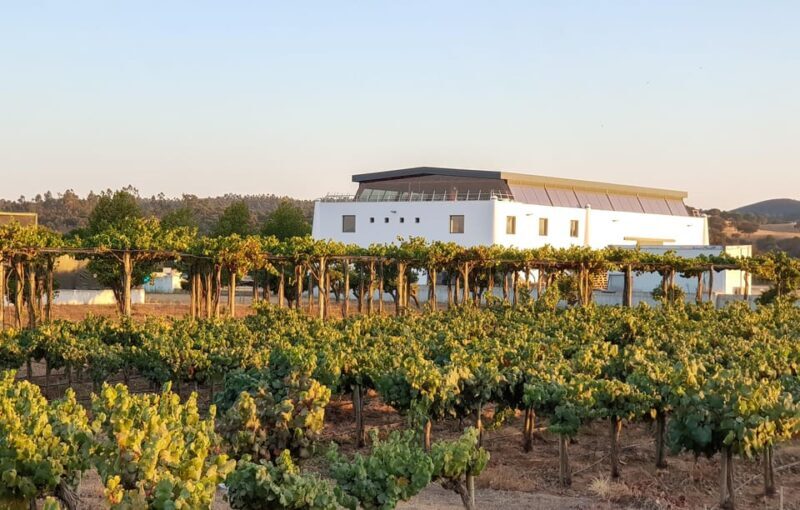 Herdade Canal Caveira - Winery Visit 4 Wines & Tapas - An In-Depth Look at the Herdade Canal Caveira Experience