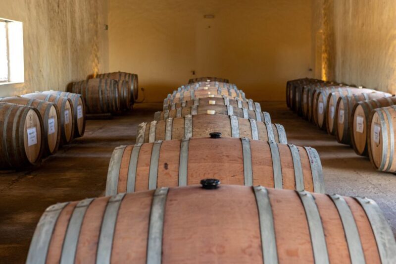 Herdade da Comporta Reserve Winetasting - Who Will Appreciate This Experience?