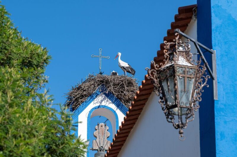 Herdade da Comporta Winetasting - Frequently Asked Questions