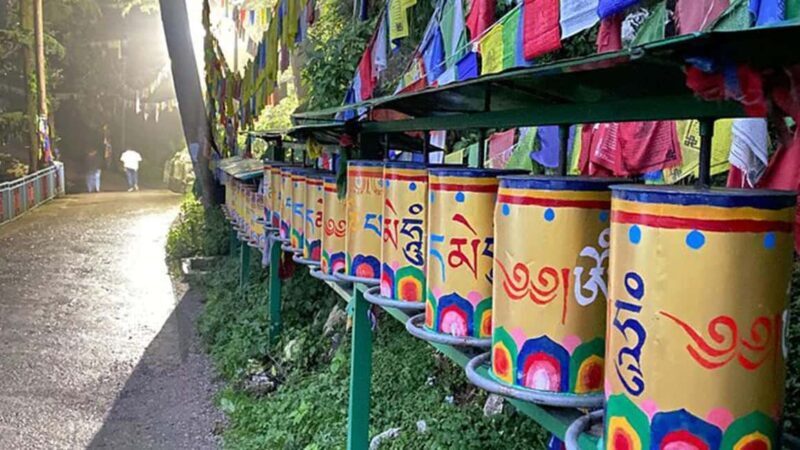 Heritage Amritsar & Spritual Dharamshala 4 Days Guided Tour - Who Should Consider This Tour?