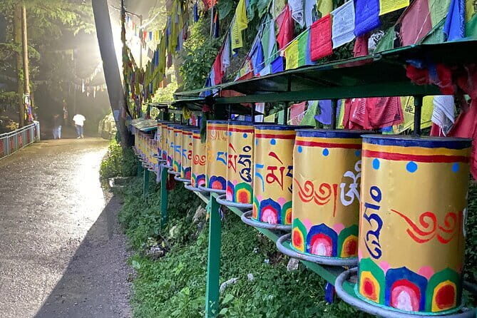 Heritage Amritsar & Spritual Dharamshala 4 Days Guided Tour - Key Points