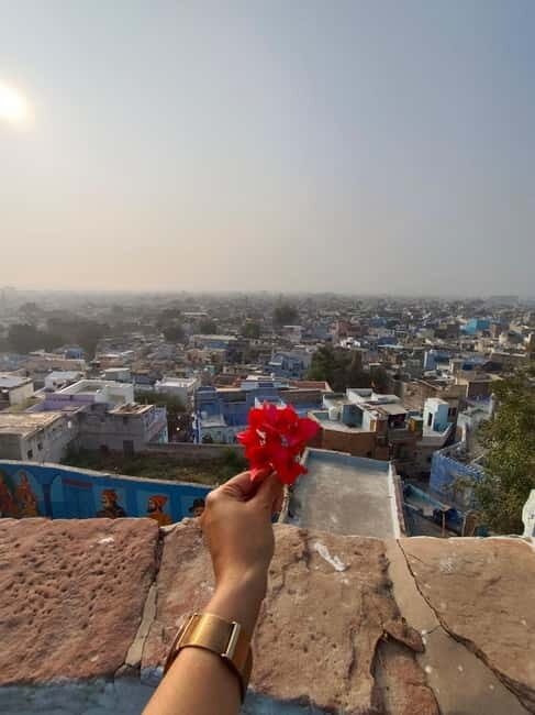 Heritage blue city walking tour in jodhpur. - The Sum Up: Who’s the Best Fit?