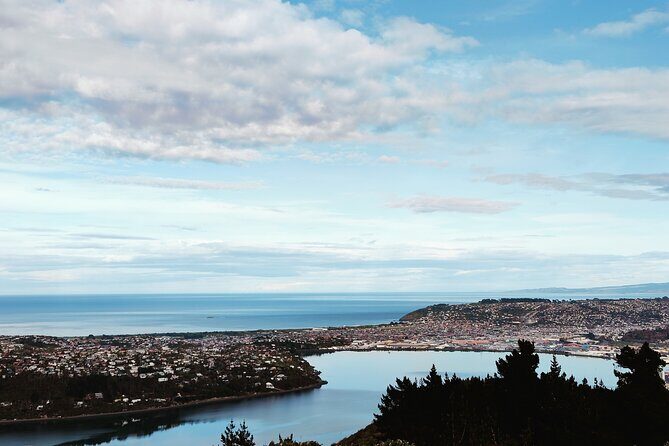 Heritage City and Larnach Castle Van tour with Historian Guide - Final Thoughts