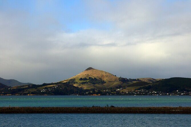 Heritage City and Larnach Castle Van tour with Historian Guide - FAQ