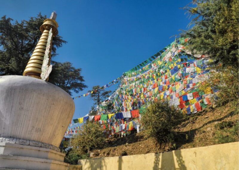 Heritage & Cultural Trails of McLeodGanj Guided Walking Tour - Who Should Consider This Tour?