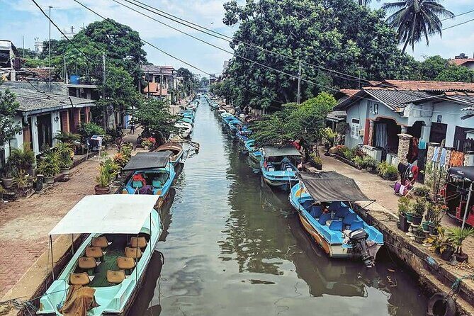 Heritage & Cultural Walk Around Negombo - Who Should Consider This Tour?