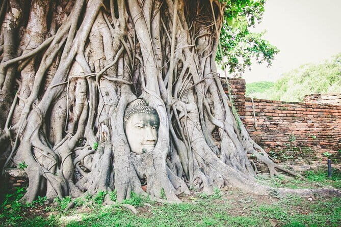 Heritage Tour in Ayutthaya by Cruise - Authenticity and Value