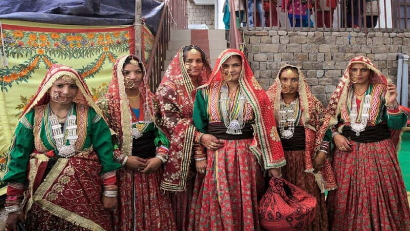 Heritage Tour: Tea Estates & Himalayan Culture of Palampur - Exploring the Heritage of Palampur’s Gaddi Tribe and Tea Estates