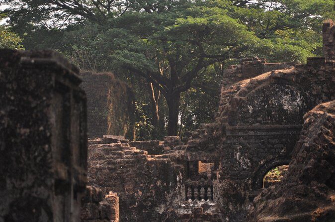 Heritage Tour to Goa Forts and churches - Who Should Book This Tour?