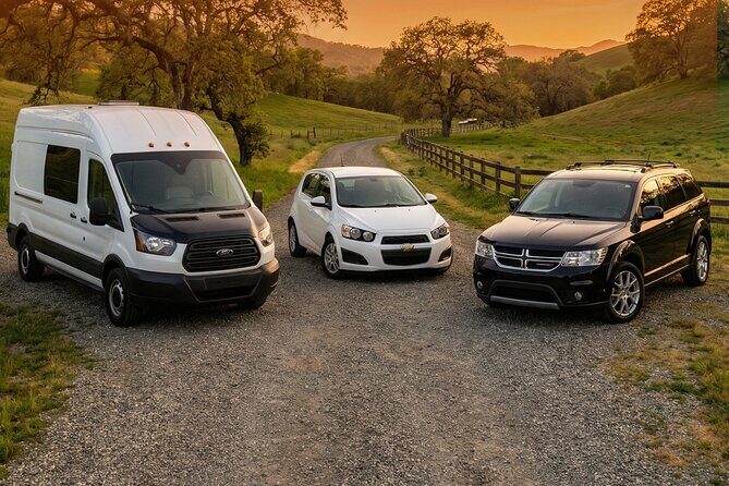 Herman MO Wine Tour at your Service Shuttle and Taxi - The Whole Picture: A Detailed Look at the Hermann MO Wine Tour