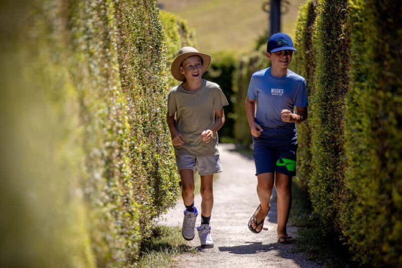 Herons Creek: Bago Maze Entry Ticket - Key Points