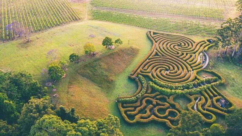 Herons Creek: Bago Maze Entry Ticket - Why This Experience Is a Great Value