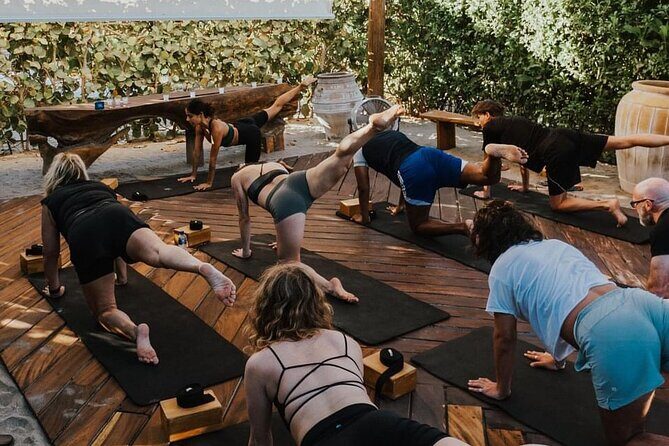 Herradero Flamingos Private Yoga Class Experience - Final Thoughts: Is It Worth It?