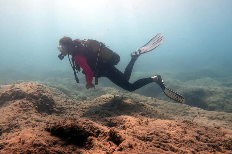 Hersonissos, Stalida: Scuba Diving Experience for beginners - In-Depth Review of the Crete Scuba Diving Experience