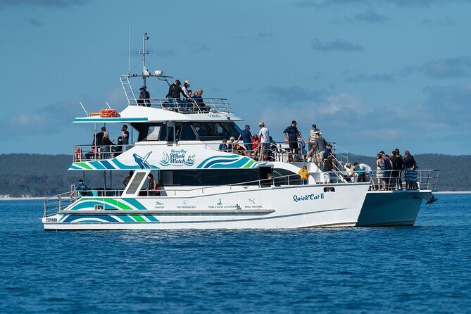 Hervey Bay: Best Value Half Day Whale Watching Cruise - Hervey Bay: Best Value Half Day Whale Watching Cruise
