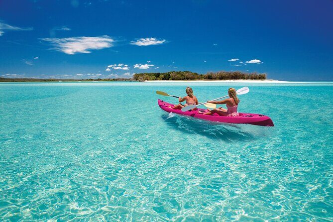 Hervey Bay: Best Value Half Day Whale Watching Cruise - The Sum Up