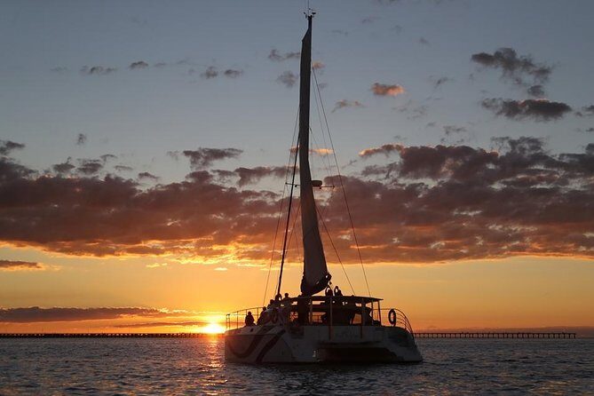 Hervey Bay Champagne Sunset Sail - An In-Depth Look at Hervey Bay’s Champagne Sunset Sail