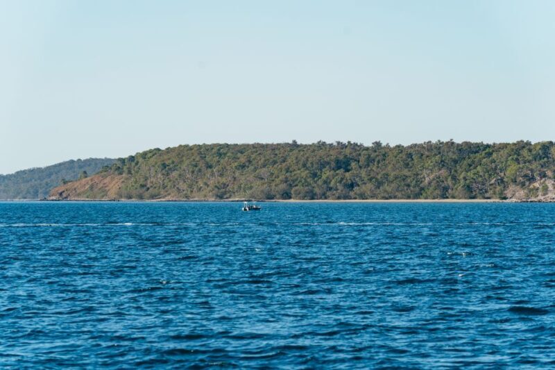 Hervey Bay: Exclusive Whale Watch Encounter - Final Thoughts