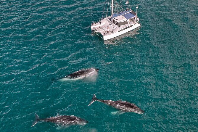 Hervey Bay Overnight Whale Watching Cabin Hire - FAQ